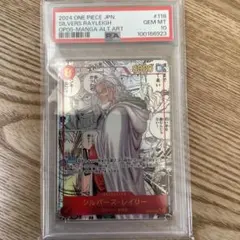 2025年最新】レイリー psa10の人気アイテム - メルカリ