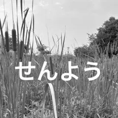 せんよう