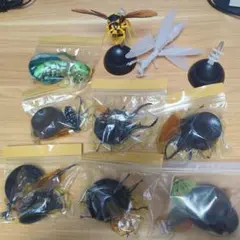 いきもの大図鑑 9体 台座付き