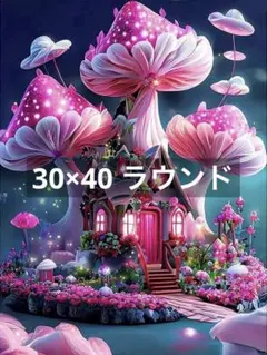 ♣️【30×40】ラウンド　ピンク　キノコ　ダイヤモンドアートキット