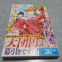 可愛い義妹が婚約破棄されたらしいので、今から「御礼」に参ります。　5巻　新刊