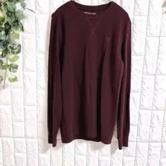 7074 【アメリカンイーグル】長袖　丸首カットソー Ｍ