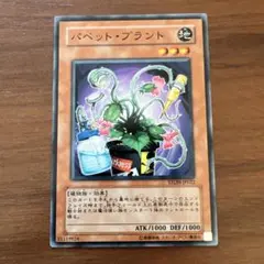 パペット・プラント STON-JP022