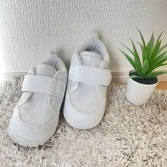 Item thumbnail for item d2fa643f-109e-40d7-aa92-dcfd477a3c66