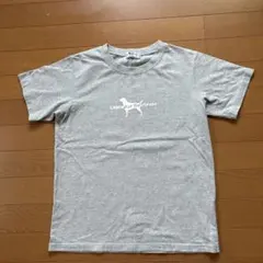 Labrador Retriever 半袖Tシャツ グレー Mサイズのサムネイル