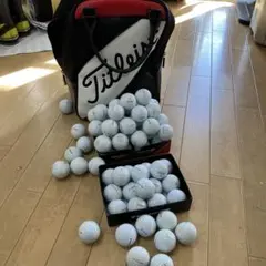 希少☆ビンテージ Titleist タイトリスト シャグバッグ シューズケース
