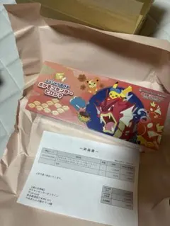 ポケモンセンタースペシャルBOX ヒロシマ 新品未開封