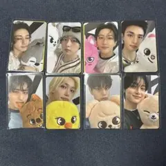 straykids celebrate popup オフライン 購入特典 トレカ