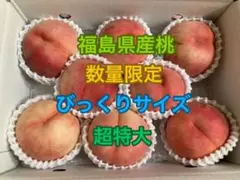 1️⃣1️⃣ 山梨県産 おどろき 秀品 特大12玉入り 6.8キロ - メルカリ