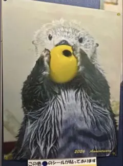 【新品】鳥羽水族館　メイちゃん誕生日記念　グッズ　ラッコ　キラちゃん　ポスター 鳥羽水族館 メイちゃんお誕生日記念 グッズ ラッコ キラちゃん