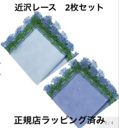 【新品未使用品】近沢レース　タオルハンカチ アガパンサス ２色セット