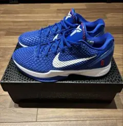 Nike Kobe 6 Protro 