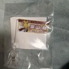 楽天イーグルス　宗山塁　ポケモン　ピカチュウ　ミニフラッグ　2026