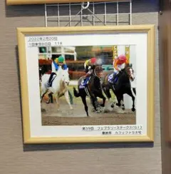 ダンスパートナー　武豊　オークス　競走馬　写真　パネル　額縁入り ダンスパートナー 武豊 オークス 競走馬 写真 パネル 額縁入り