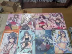 【激レア・新品未開封】カントク クリアファイル 16枚セット 軸中心派 激レア・新品未開封】カントク クリアファイル 16枚セット 軸中心派
