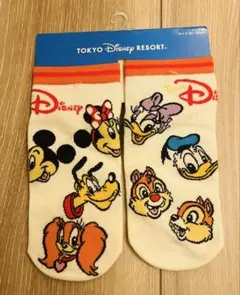 新品！ディズニーランドで購入！ソックス22-25cm☆