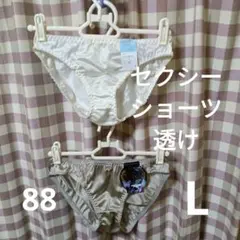 （*）様 セクシー ショーツ 2枚セット Lサイズ　パンティー　パンツ　透け透け