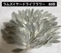 ラムズイヤードライフラワー　ハンドメイド　葉　素材花材　たっぷり　80枚　20番