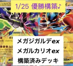 【シティ優勝】メガルカリオex 構築済みデッキ　メガジガルデex
