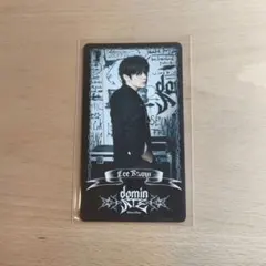 StrayKids dominATE 本国　スペシャルトレカ リノ