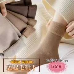 【最安値】レディース 裏起毛 極暖 Snow ソックス 5足組 ブラウン系