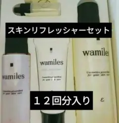 2025年最新】ワミレス スキンリフレッシャーセットの人気