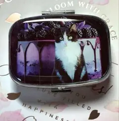 ⚠️フォロワー様感謝SALE⚠️ハンドメイド レジン ハチワレ ピルケース