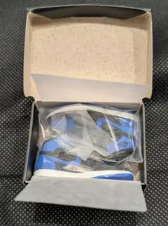 NIKE Air Jordan 1 ミニチュアコレクション ROYAL