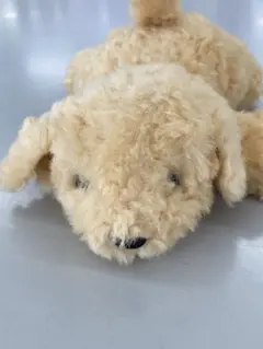 美品 モンスイユ プードル ぬいぐるみ パプス - メルカリ