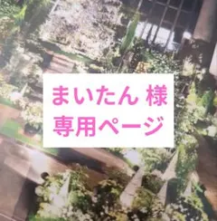 まいたん様 専用ページ　 400、401、402、487 4点セット