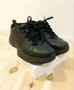 Nike Air Monarch ナイキ　エアモナーク　28cm