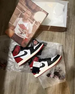 Nike Air Jordan 1 Retro High OG リイマジンド
