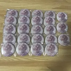 プロセカ MEIKO 缶バッジ 23個セット 50A