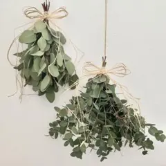 ユーカリ　スワッグ　2点　11/17作