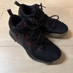 Item thumbnail for item 7c6c5277-47bb-464b-83c0-bf342e59bda8