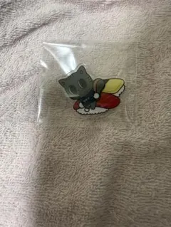 ダゴニャン テヒョン 東京 有明 アクリルバッジ プルバトゥ PPULBATU