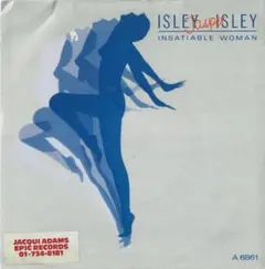 【超名盤】diggin' ice 96 / dj muro 特典マグネット付き 超名盤】diggin´ ice 96 / dj muro 特典マグネット付き