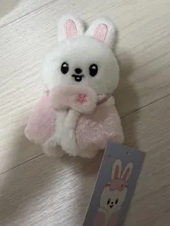 SKZOO 6th ペンミ 10センチ ぬい リービット リノのサムネイル