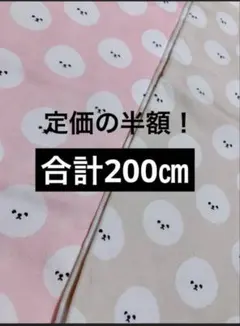 オックス生地 ビジョンフリーゼ 2色 合計200cm