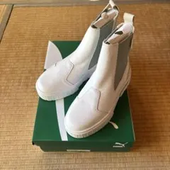 Item thumbnail for item 1b3b7414-04c5-4725-aca4-4b4393bbc618