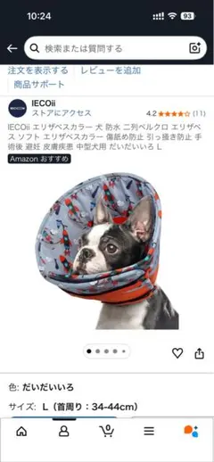 Item thumbnail for item 3b442828-24fe-4bc6-817c-e081524613fc