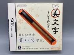 DS 美文字トレーニング ソフト タッチペン付き【2401】