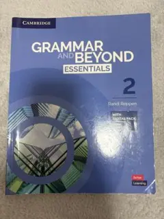 Grammar and Beyond Essentials 2