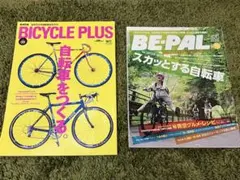 Item thumbnail for item 5efbd7aa-25d5-4c9f-b60f-90bb29f59a30