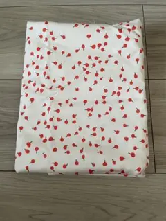 Item thumbnail for item 16545404-76b2-4948-97f4-63cf9a709730