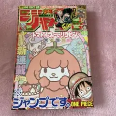 2025年最新】ワンピース 新連載号の人気アイテム - メルカリ