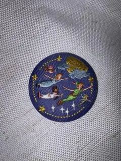 ディズニー刺繍缶バッチ