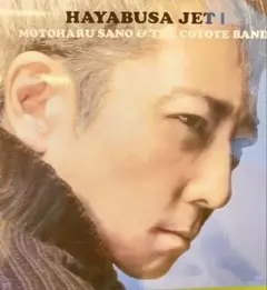 佐野元春ハヤブサ