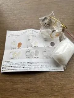 うちの子のけだまだま