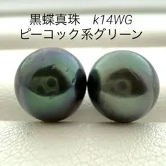 南洋黒蝶真珠　k14WG スタッドピアス　ピーコック系グリーン　マルチ